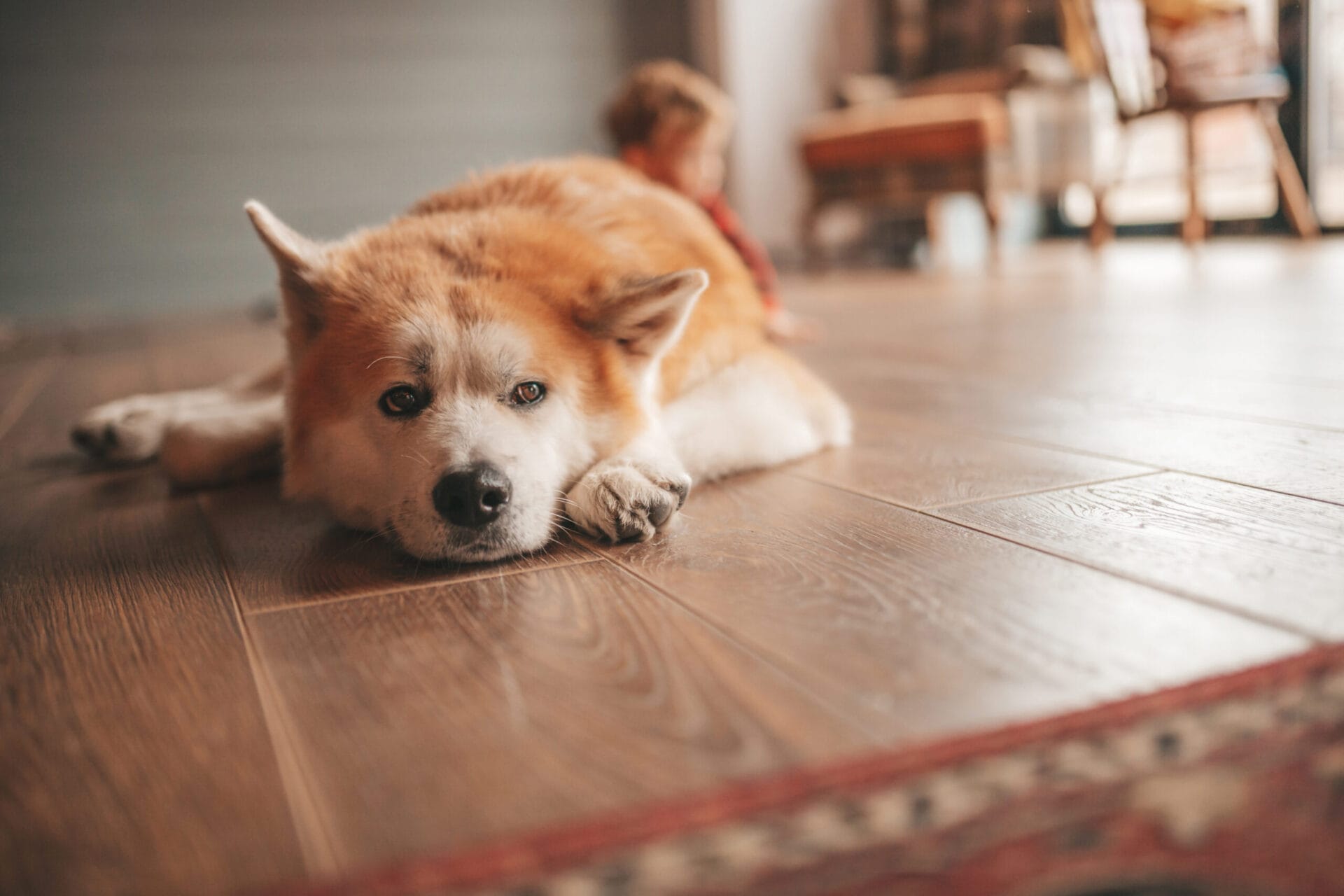 Hardwood Flooring in Berea, KY