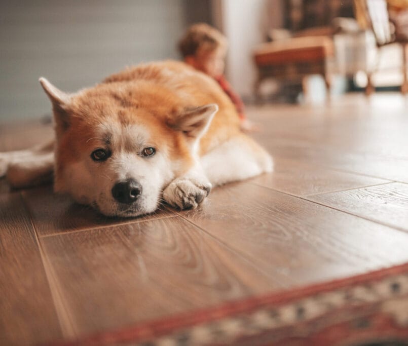 Hardwood Flooring in London, KY