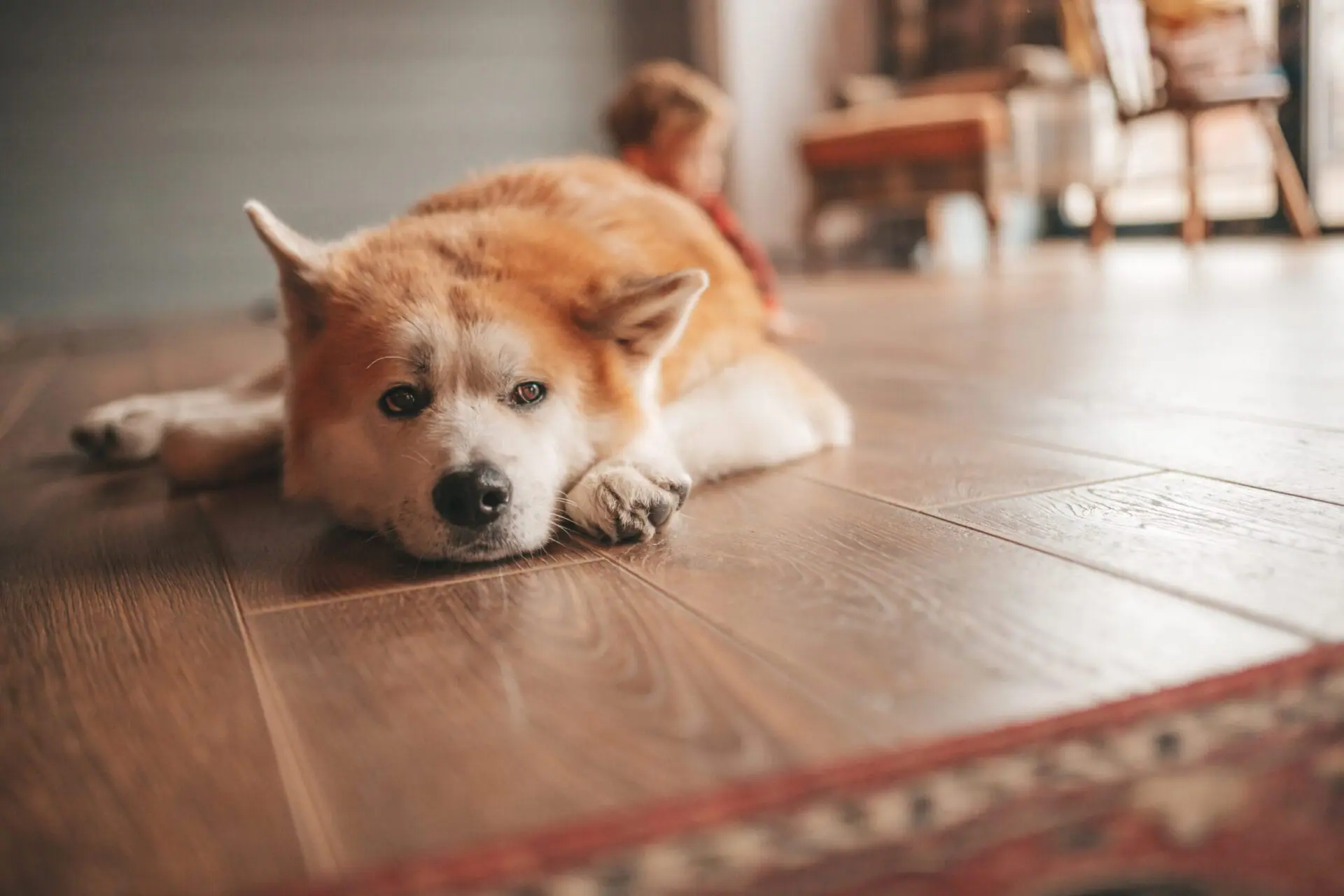 Hardwood Flooring in Lexington, KY